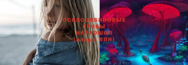 дмт Медвежьегорск