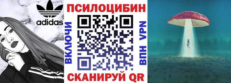 где можно купить   Дзержинский  omg   Псилоцибиновые грибы Psilocybe 