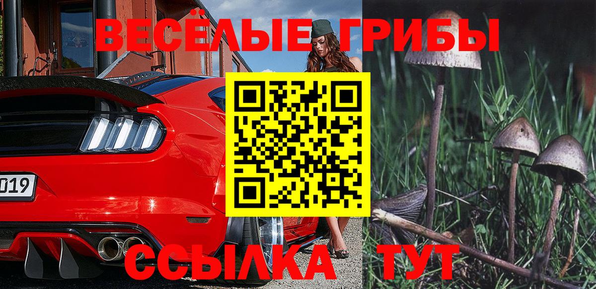 Галлюциногенные грибы GOLDEN TEACHER Дзержинский