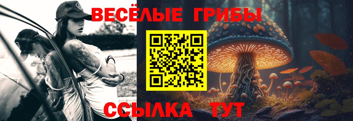 Галлюциногенные грибы Cubensis  Вход с VPN  Дзержинский  Галлюциногенные грибы мицелий 