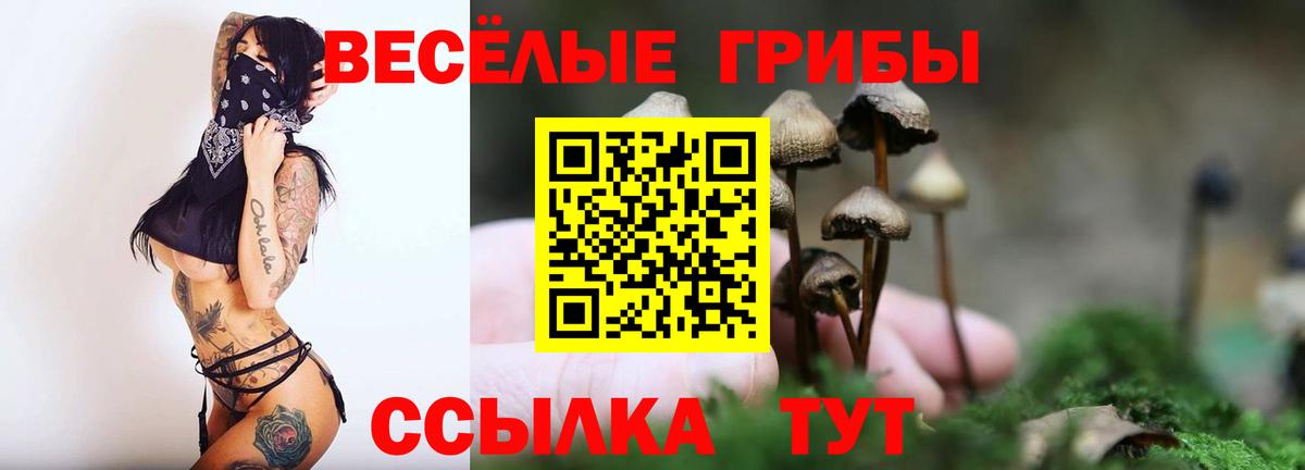 даркнет сайт  Дзержинский  Галлюциногенные грибы мицелий 